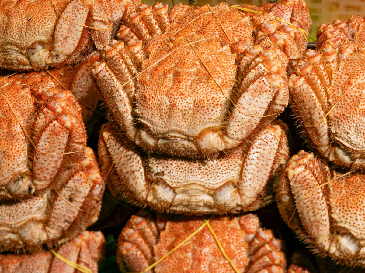 札幌のカニ食べ放題【海鮮バイキング｜難陀】北海道の海鮮を丸ごと満喫！牡蠣やいくらなども食べ放題！ ｜札幌フード